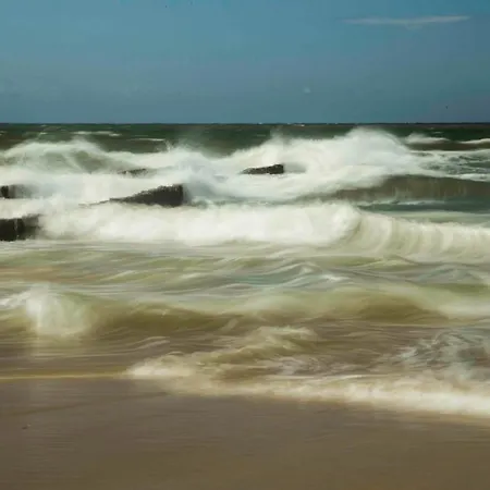 ホームステイ Bea