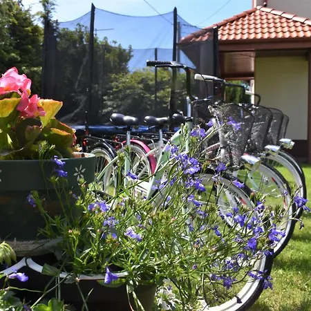 ホームステイ Bea